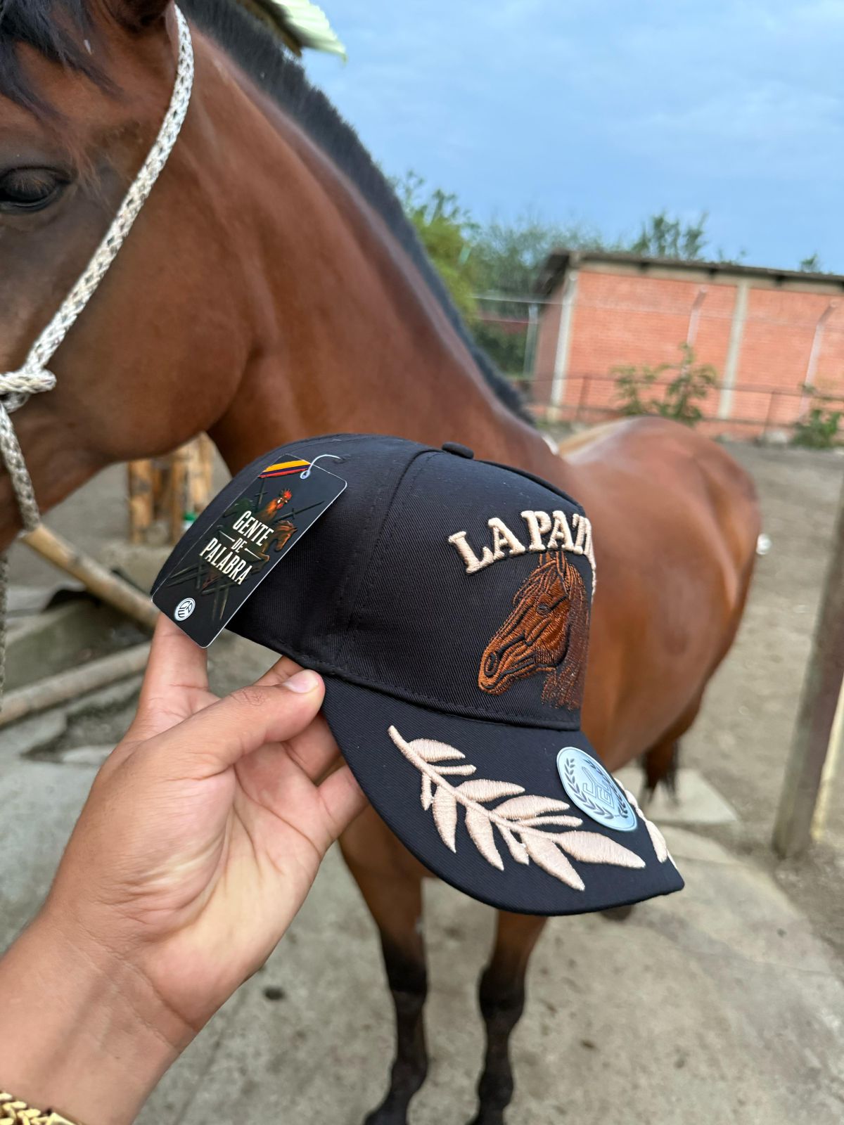Miniatura 3 de Gorra La Patrona Negra 🐎